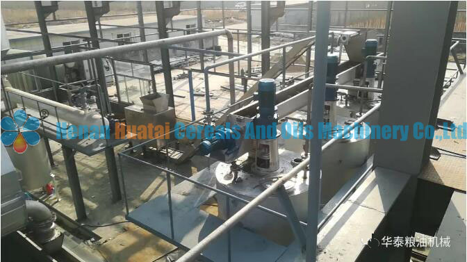 beef tallow refining equipment