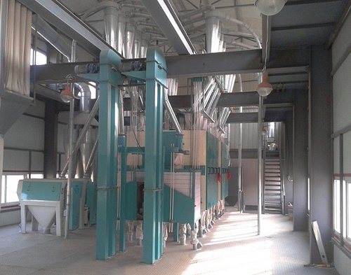 wheat flour mill plant
