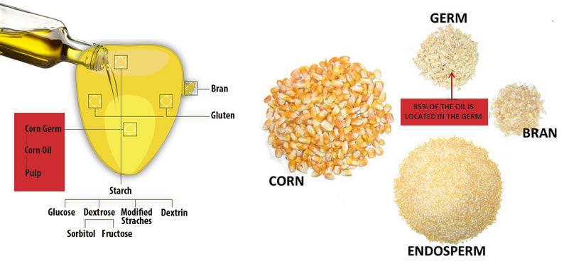 corn germ separator machine