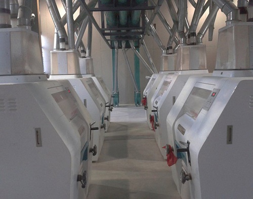 wheat flour mill plant
