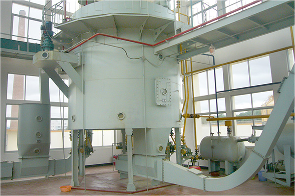 Camellia Seed Oil Extraction Machine / Tea Seed Oil Extraction